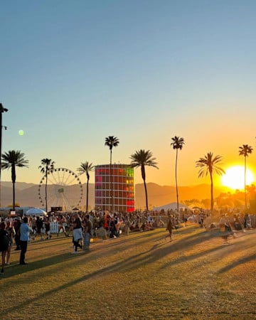 Euphoria 2019